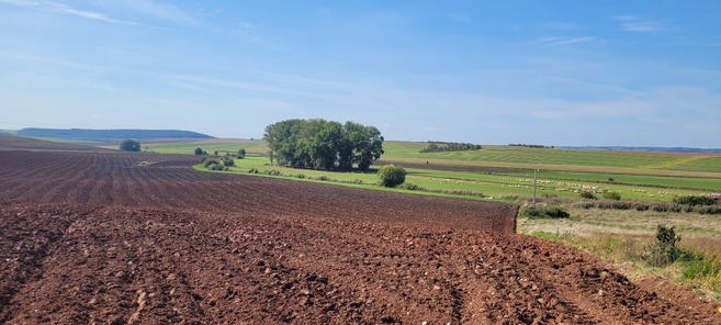 Le projet en bref Le projet en bref